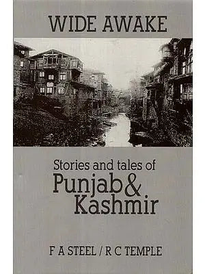 Wide Awake: Story and Tales of Punjab & Kashmir