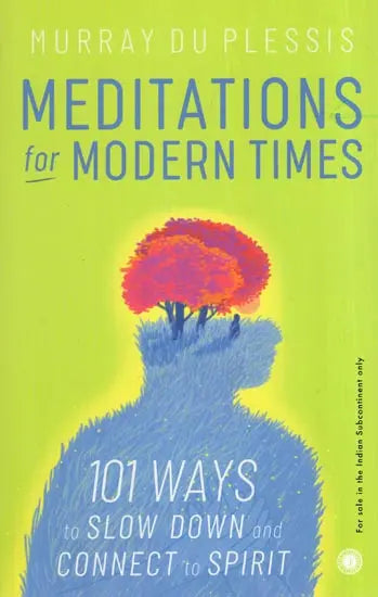 Meditations for Modern Times (101 Ways to Slow Down and Connect to Spirit)