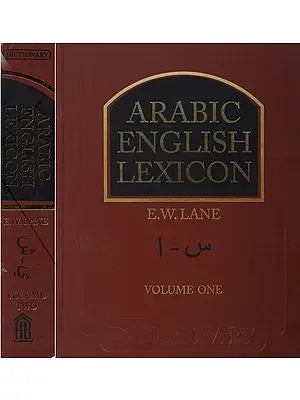 Arabic English Lexicon- Dictionary (Set of 2 Volumes)