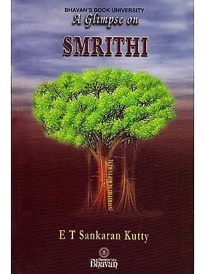 A Glimpse on Smrithi