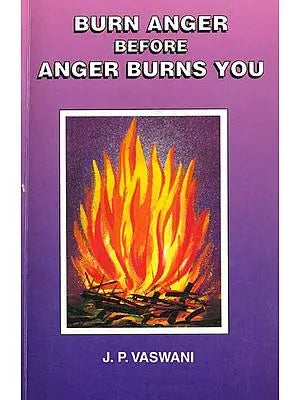 Burn Anger Before Anger Burns You