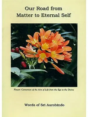 Our Road From Matter to Eternal Self