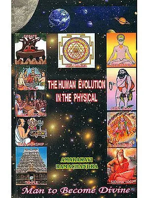 The Human Evolution in The Physical