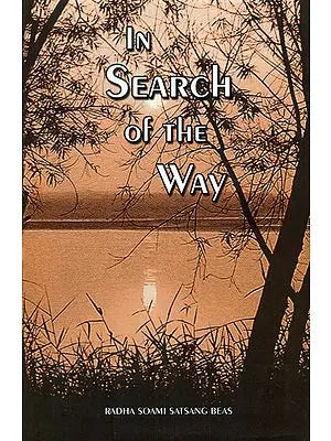 In Search of The Way