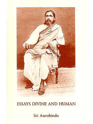 Essays Divine and Human