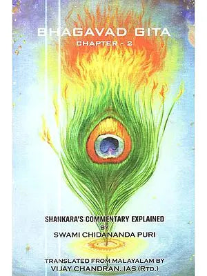 Bhagavad Gita Chapter - 2 : Shankara's Commentary Explained