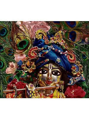 Sri Mayapur Chandradaya Darsan