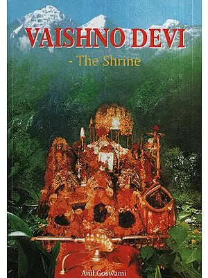 Vaishno Devi (The Shrine)