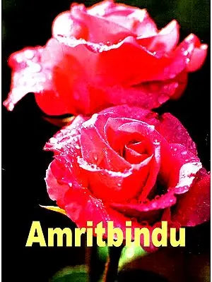 Amritbindu