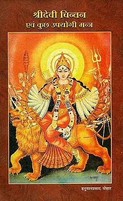 ???? ???? ?????? ???? ??? ?????? ??????: Musing on Devi and Some Useful Mantras