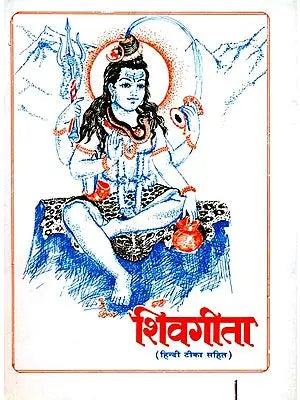 शिवगीता (संस्कृत एवम् हिन्दी अनुवाद): Shiva Gita