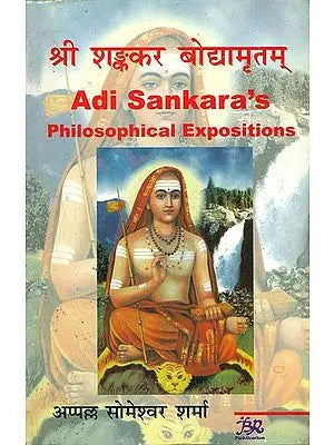 श्री शङ्कर बोद्यामृतम्: Adi Sankara's Philosophical Expositions