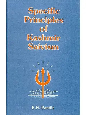 Specific Principles of Kashmir Saivism