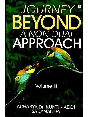 Journey Beyond: A Non-Dual Approach (Volume III)