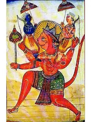 Veer Hanuman (Portfolio)